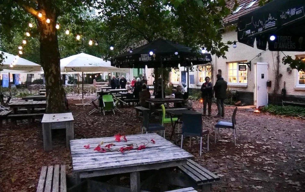 Afbeelding: Winterterras: Avondgloed bij het bezoekerscentrum