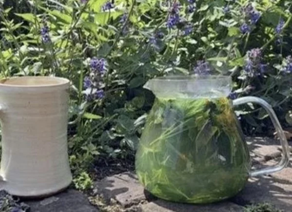 Afbeelding: Wandelen met kruidentheeproeverij