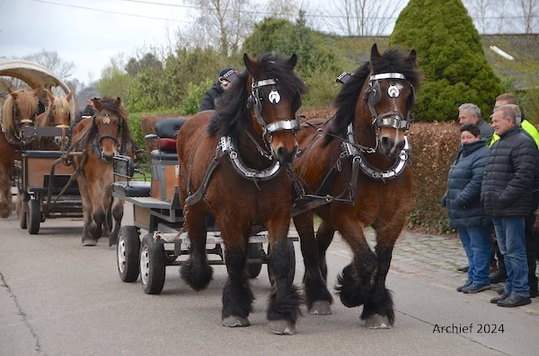 Afbeelding: Paardenwijding