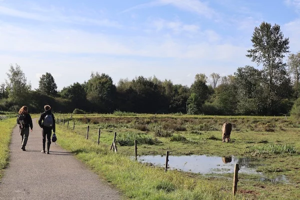 Afbeelding: Lezing: Designing deserts