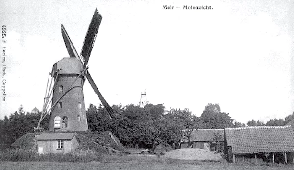 Afbeelding: De molens in Hoogstraten